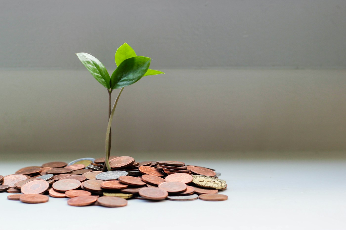 Editorial photograph illustrating Best High-Yield Savings Accounts
